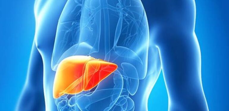 Çağımızın hastalığı Karaciğer yağlanması