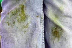 Çimen lekesi nasıl çıkar