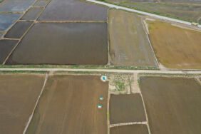 Edirne'de çeltik ekiminde sona gelindi