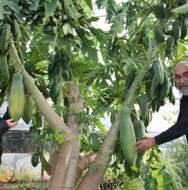 Eşinin isteğiyle başladı, Antalya'nın gururu oldu 4 ülkeye satış yapıyor