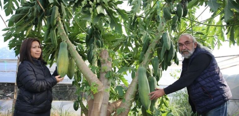 Eşinin isteğiyle başladı, Antalya'nın gururu oldu 4 ülkeye satış yapıyor