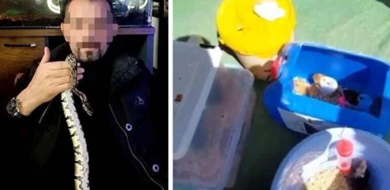 Evinde 2 kraliyet pitonu ele geçirildi