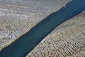 Fatma Varan açıkladı! Türkiye'nin uzun dönemli iklim değişikliği stratejisi ne