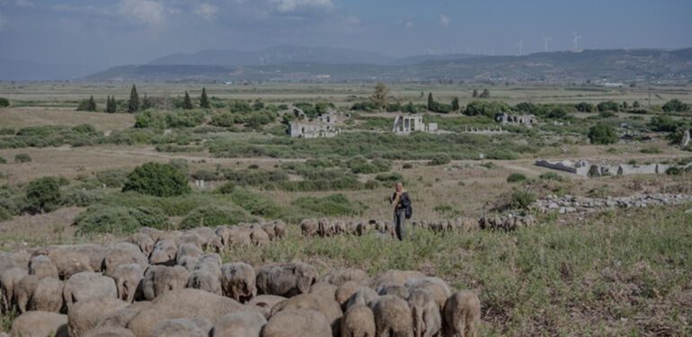 Fotoğraf ve tarihseverlerin yeni gözde rotası Didim