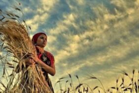 Genç kadın çiftçi sayısı 10 yılda 4,5 katına çıktı