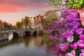 Hollanda'da mutlaka gezmeniz gereken 7 efsanevi yer