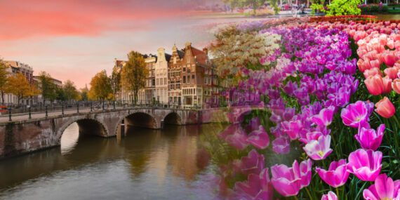 Hollanda’da mutlaka gezmeniz gereken 7 efsanevi yer