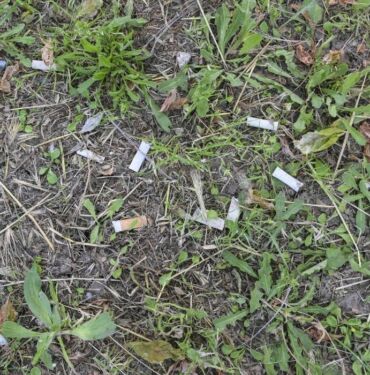 İstanbul kıyılarındaki izmarit kirliliği mikroplastik yükünü artırıyor