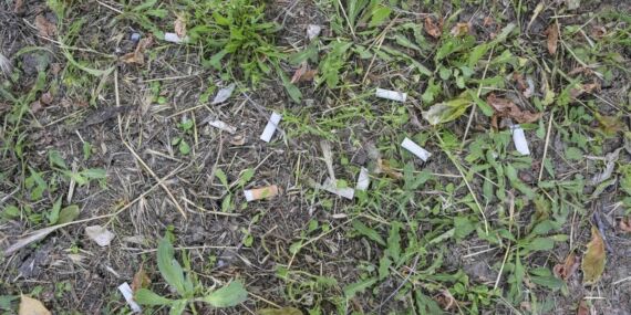 İstanbul kıyılarındaki izmarit kirliliği mikroplastik yükünü artırıyor