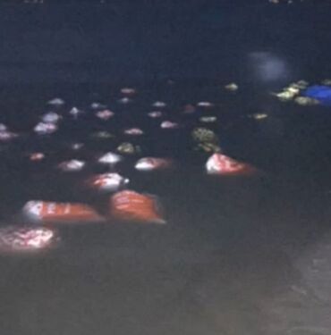 Kaçak avlanma operasyonu Van'da 3 ton 300 kilo inci kefali ele geçirildi