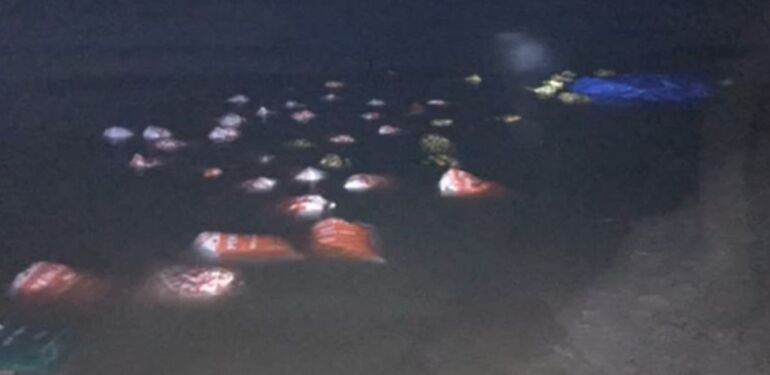 Kaçak avlanma operasyonu Van'da 3 ton 300 kilo inci kefali ele geçirildi