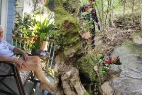 Kayıp ekonomistin akıbeti belli oldu Bulunan kemikler Korhan Berzeg'e ait