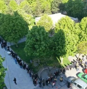 Kayseri'de domates fidesi çılgınlığı 2 kilometre kuyruk oluştu