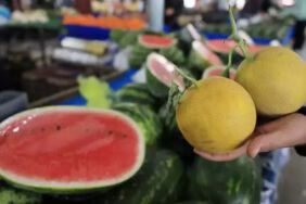Kelek kavun, karpuz 'ayıplı ürün' statüsünde 'Tüketici para talep edebilir'