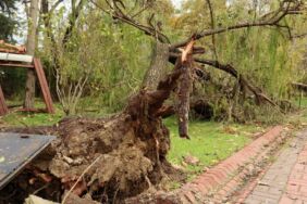 Marmara Bölgesi için 'fırtına' ve ‘toz taşınımı’ uyarısı