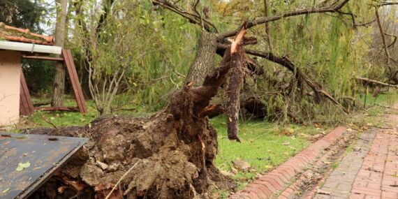 Marmara Bölgesi için ‘fırtına’ ve ‘toz taşınımı’ uyarısı