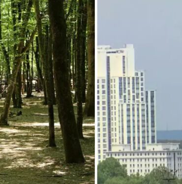 Maslak ile Belgrad Ormanı'nda sıcaklık farkı 10 derece