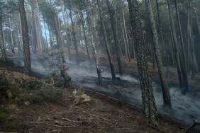 Muğla'da çıkan orman yangını söndürüldü