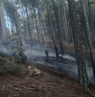 Muğla'da çıkan orman yangını söndürüldü