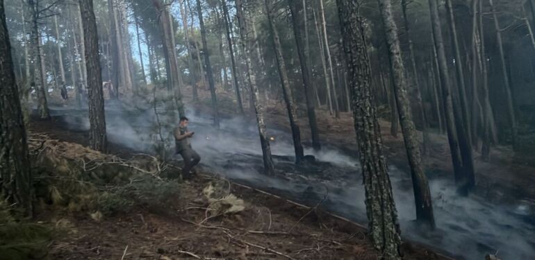 Muğla'da çıkan orman yangını söndürüldü