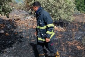 Nusaybin’de bahçede çıkan yangın, ormana sıçradı