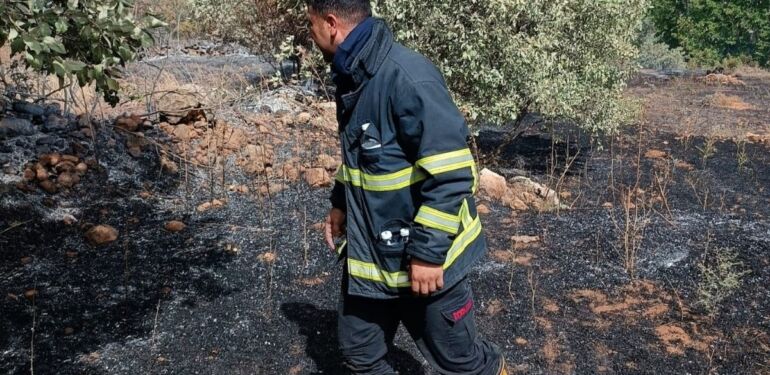 Nusaybin’de bahçede çıkan yangın, ormana sıçradı