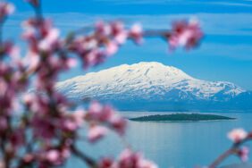 O ilde bir taraf bahar diğer taraf kar! İşte doğanın sunduğu eşsiz manzara
