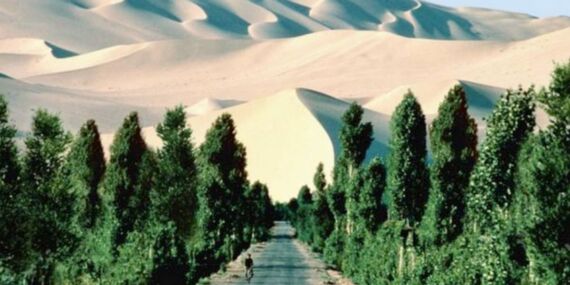 Sahra çölüne dev proje: 36 milyar dolarlık ‘Yeşil Duvar’!