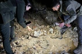 Şanlıurfa'da Leopar keleri görüntülendi