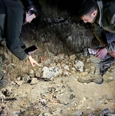 Şanlıurfa'da Leopar keleri görüntülendi