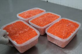 Sınırda havyar kaçakçılığı Sanığa 5 yıl hapis talebi