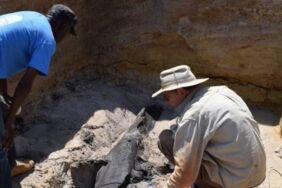 Tarihi baştan yazdıracak '500 bin yıllık' keşif!