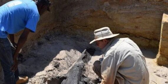 Tarihi baştan yazdıracak ‘500 bin yıllık’ keşif!