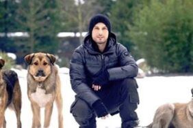 Tarkan’dan, AKP’nin ‘köpeklerin uyutulması’ teklifine tepki