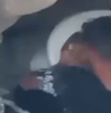 Tavuğa cinsel istismar şüphelisi tutuklandı (2)
