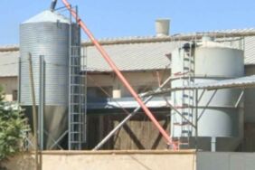 Tavuk çiftliğinde yem hazırlama ünitesine düştü Hayatını kaybetti