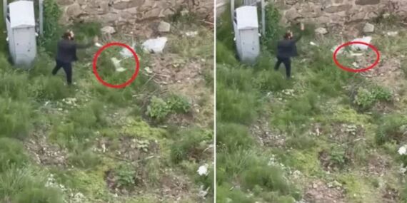 Trabzon’da vahşet: Tekmelediği kediyi ezerek öldürüp, fırlattı!