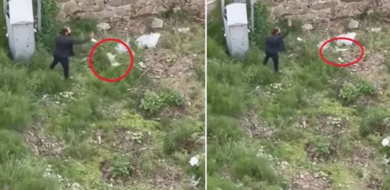 Trabzon'da vahşet Tekmelediği kediyi ezerek öldürüp, fırlattı!