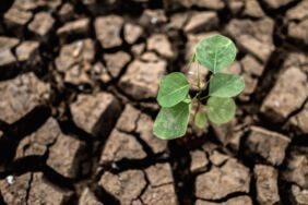Türkiye'de 'olağanüstü kuraklık' alarmı