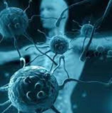 Yaz sıcaklarında besin zehirlenmelerine dikkat Uzmanlar uyarıyor