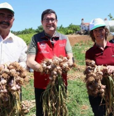 Yöneticiliği bırakıp köyüne döndü ve Yılda 65 ton üretim yapıyor