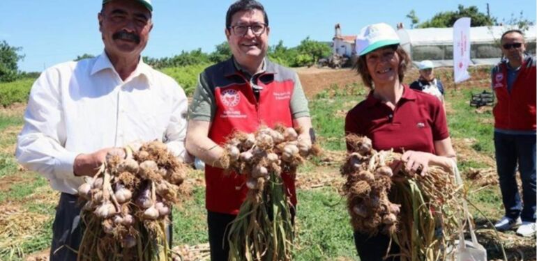 Yöneticiliği bırakıp köyüne döndü ve Yılda 65 ton üretim yapıyor
