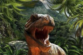 Zimbabve'de yeni bir dinozor türüne ait fosil bulundu