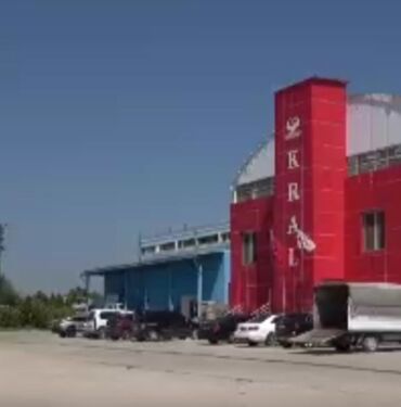 kesime hazırlanan büyükbaşa eziyet kamerada