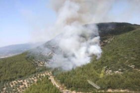 2 hektarlık alan küle dönmüştü! Muğla'daki orman yangınının nedeni belli oldu