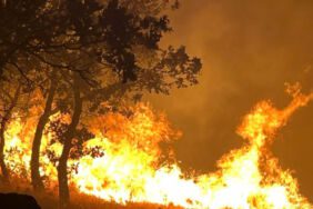 Adıyaman'da yangın Ekipler müdahale ediyor!