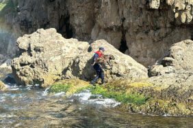 Antalya'da köpek falezlerden denize düştü Sahil güvenlik kurtardı