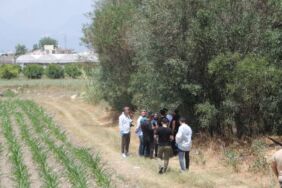 Antalya'da yol kenarında toprağa gömülmüş insan kemikleri bulundu