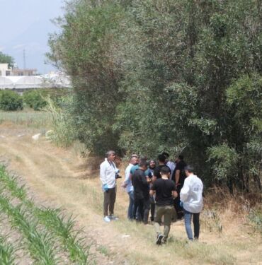 Antalya'da yol kenarında toprağa gömülmüş insan kemikleri bulundu