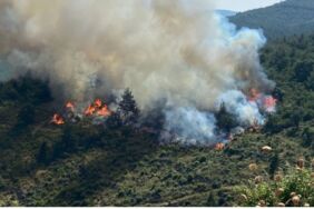 Balıkesir’de orman yangın!